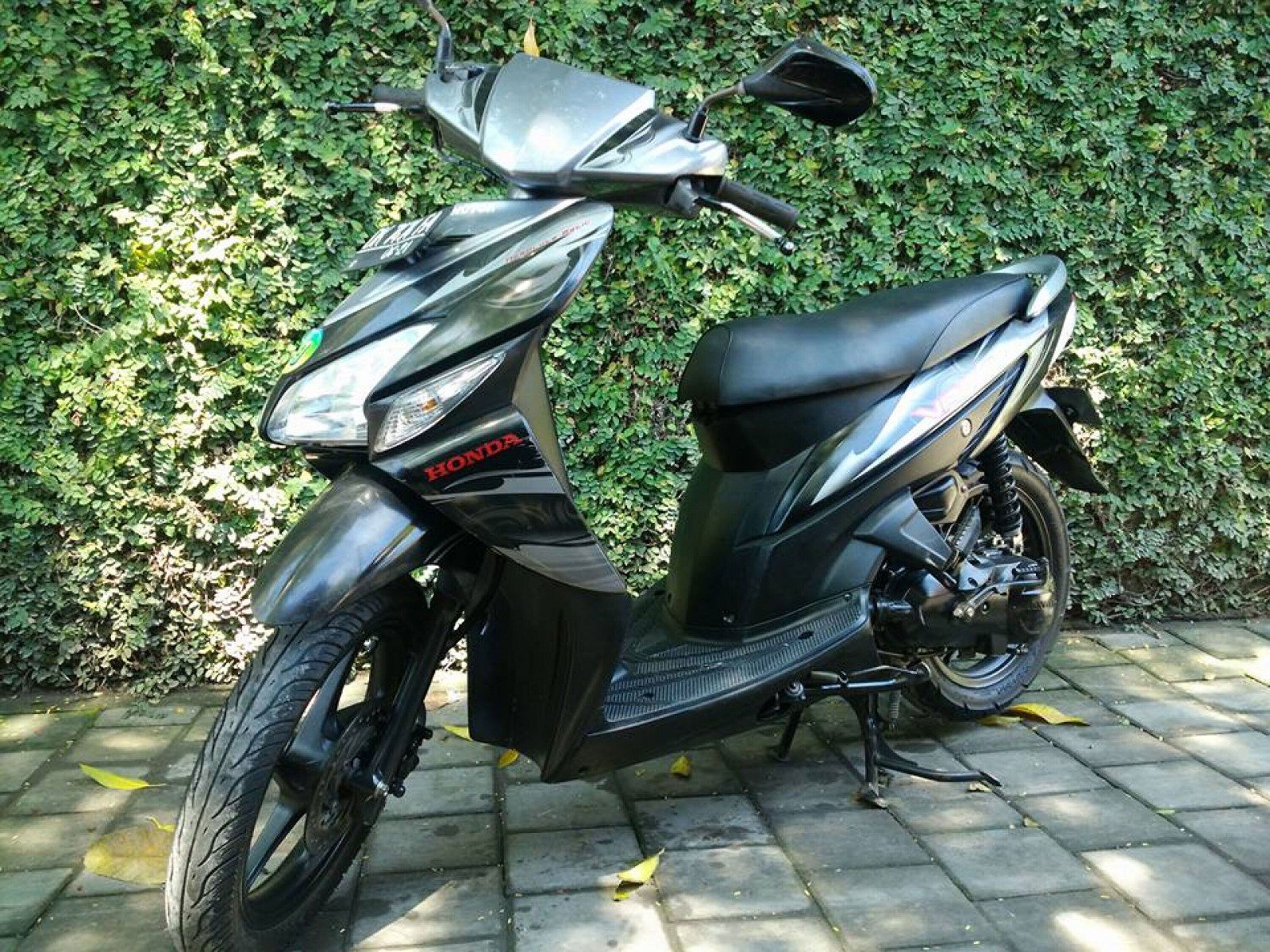 Photo - Putu Guest House