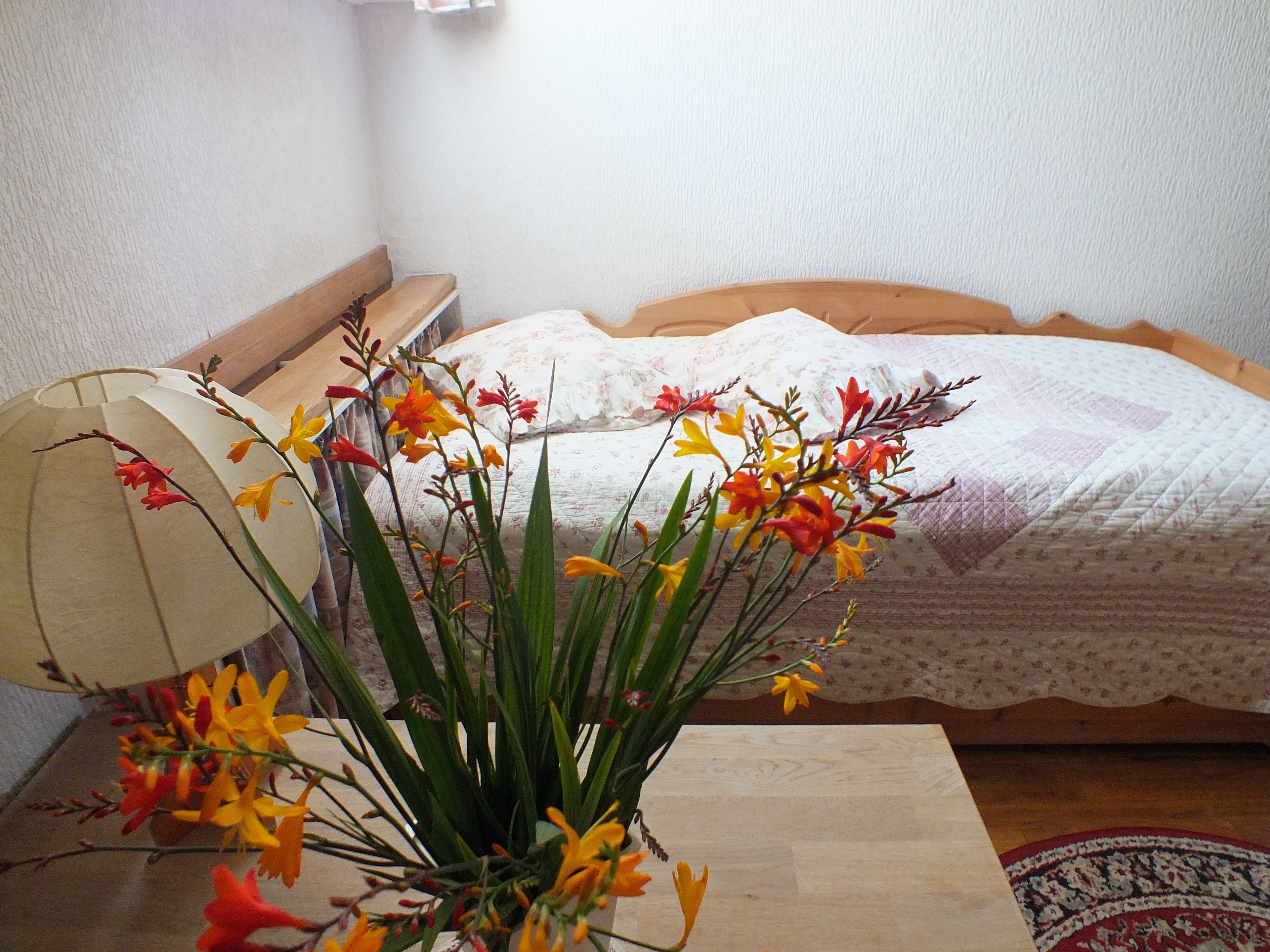 Basic Double Room, 1 Double Bed | Cots/infant beds, rollaway beds, free WiFi