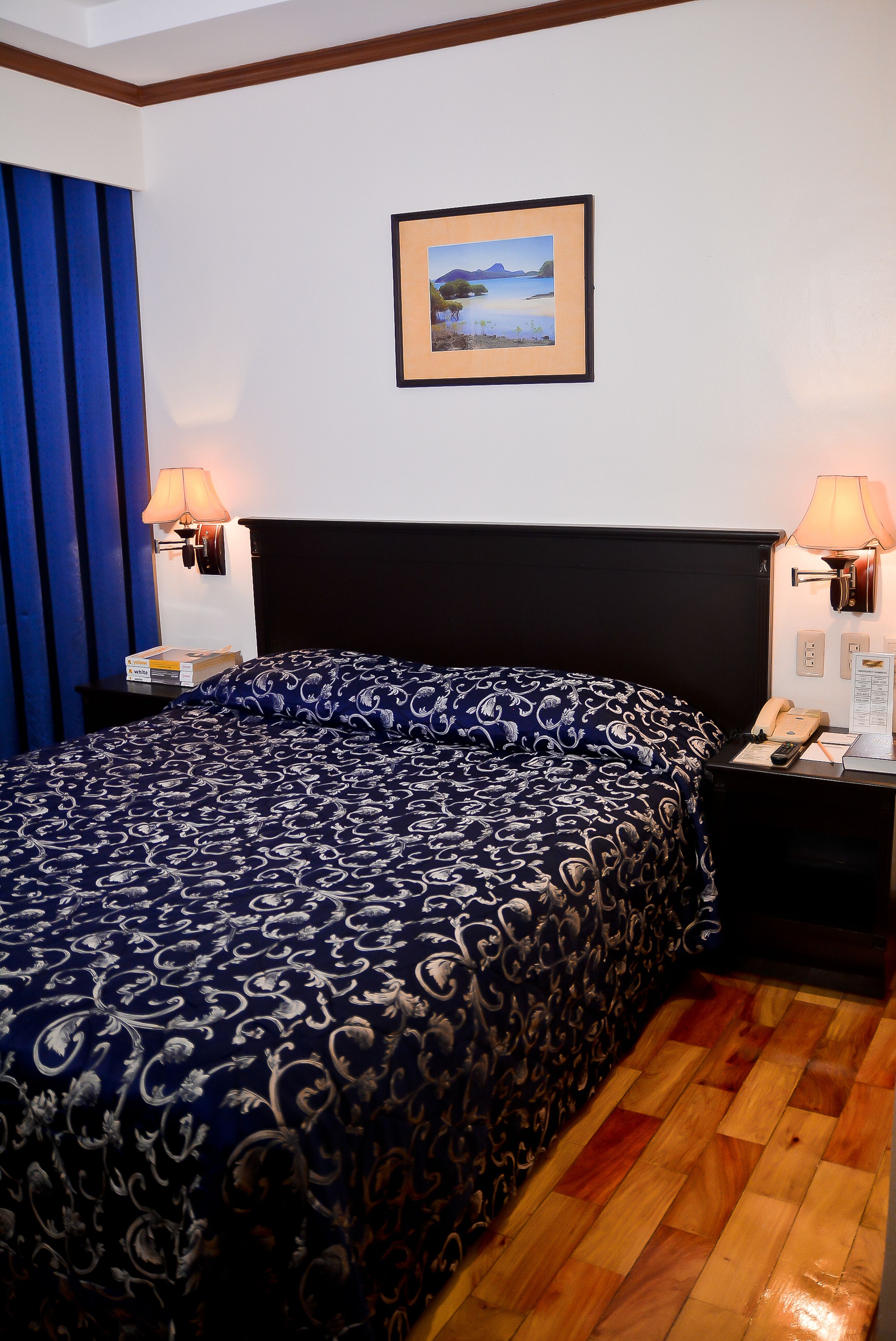 Habitación de hotel con una cama grande, una mesita de noche con lámpara, un cuadro enmarcado en la pared y suelo de madera.