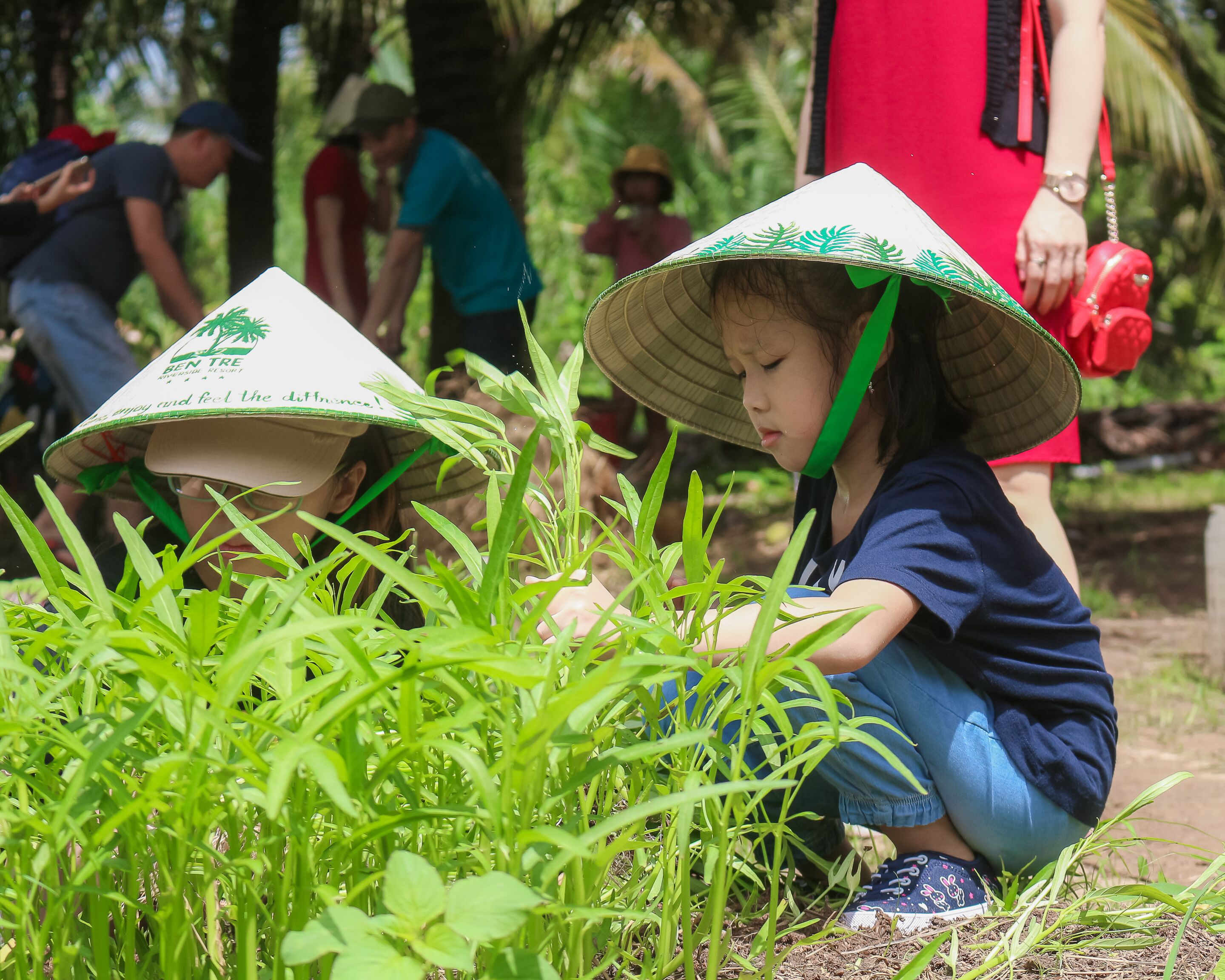 A person wearing a conical hat with text, kneeling among green plants.