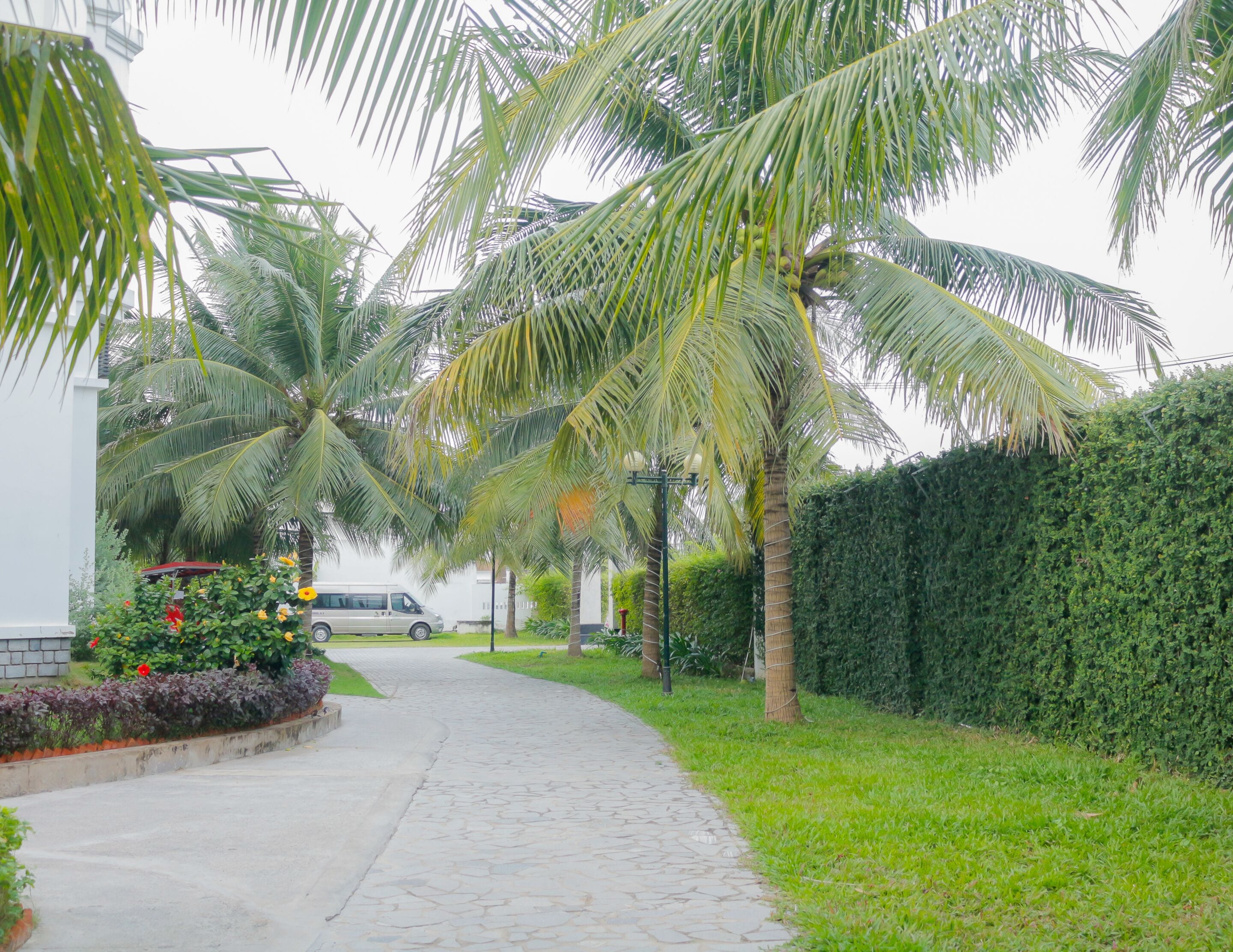 free self-parking, free valet parking