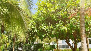 Un sentiero fiancheggiato da palme e panchine, che conduce a un edificio con facciata bianca.