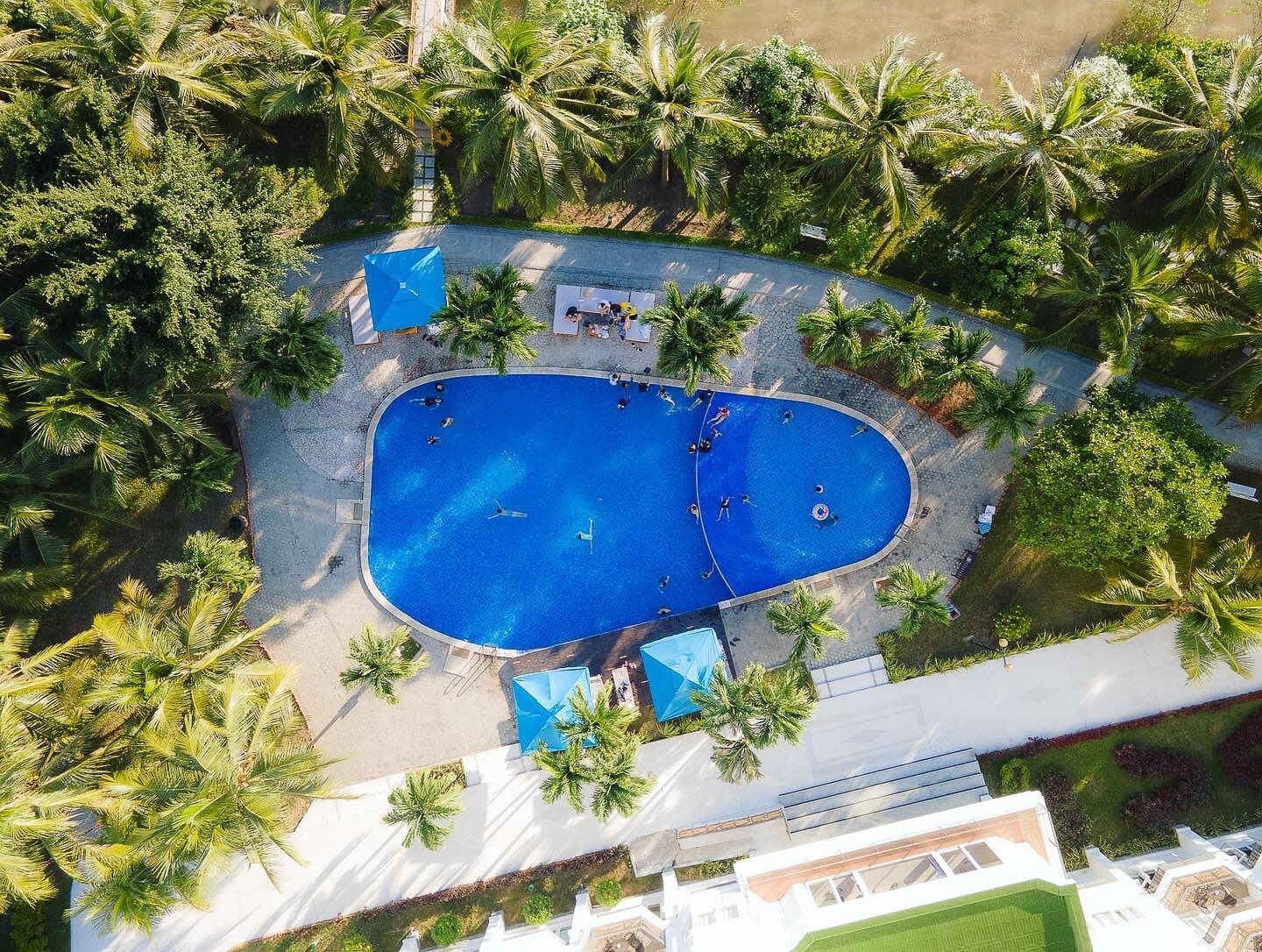 Une vue aérienne d’une piscine entourée de palmiers et d’un bâtiment blanc.