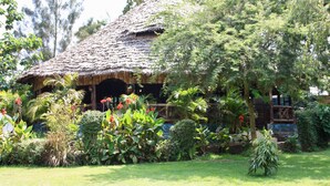 Une hutte au toit de chaume, entourée d’une végétation luxuriante et de plantes en fleurs.