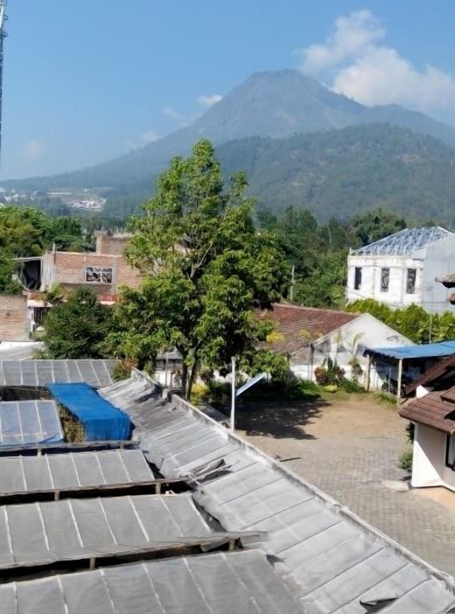 A residential area with solar panels on rooftops, a clear sky, and a mountain in the background.