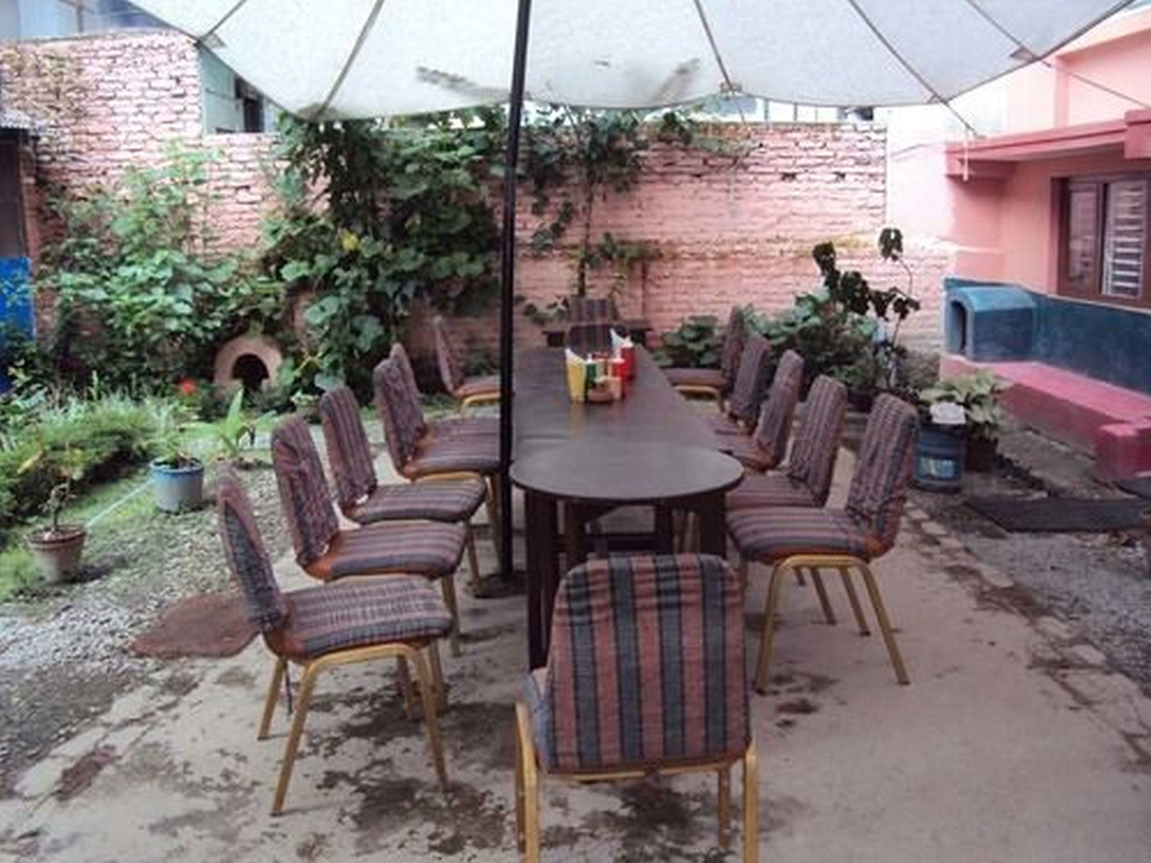 international cuisine