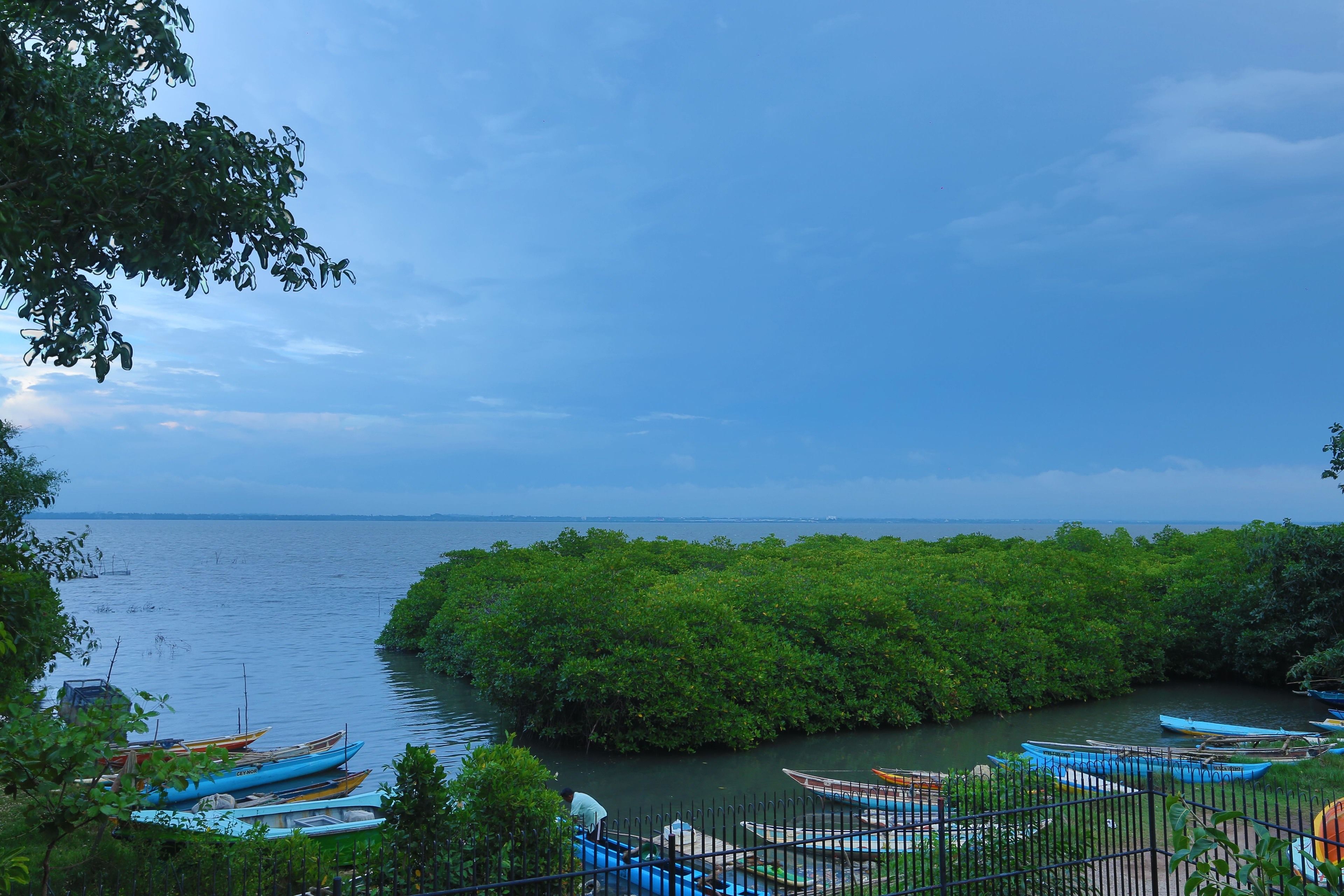 suite, lagoon view | boating