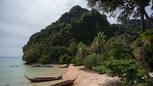 Une plage avec des bateaux, une végétation luxuriante et une montagne en arrière-plan.