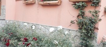 Hotel Lago Gutierrez Lodge