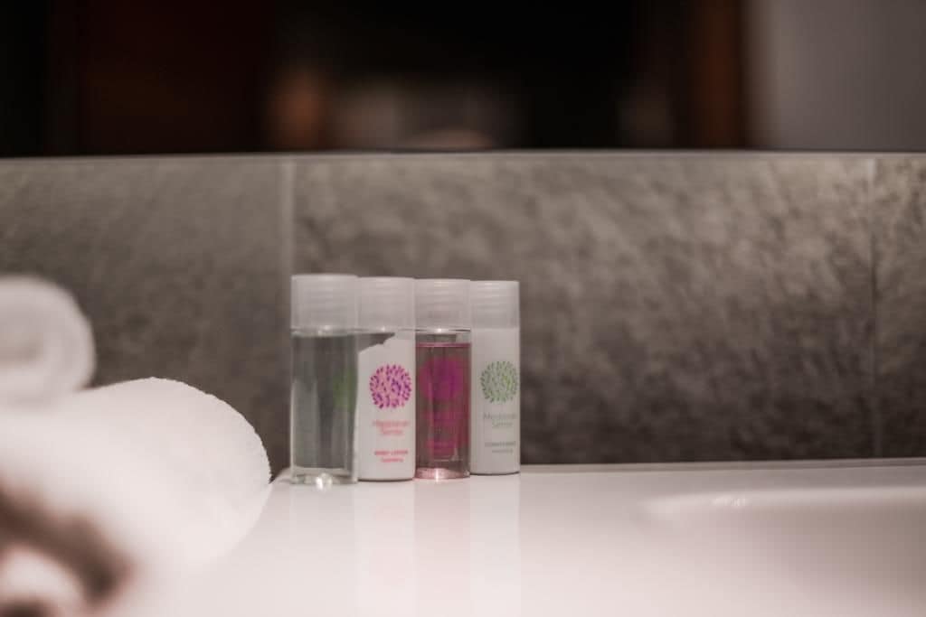 deluxe suite, 1 double bed, accessible, city view | bathroom | shower, free toiletries, hair dryer, slippers