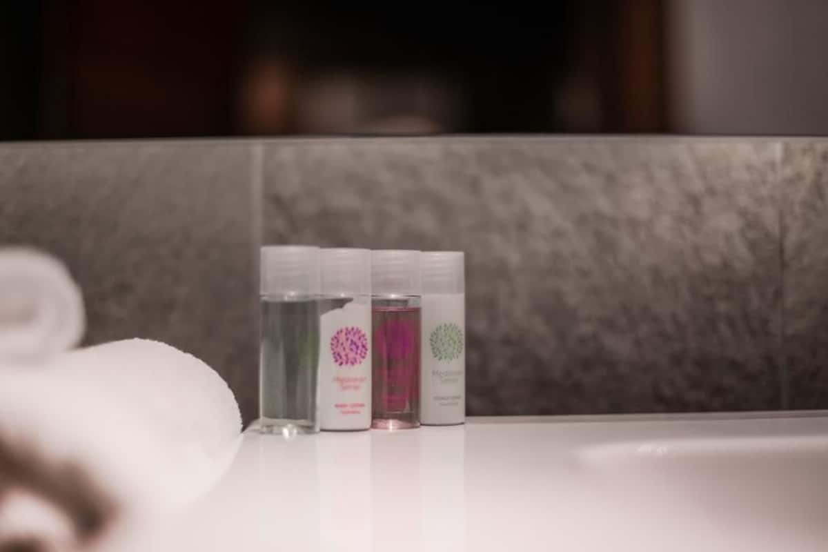 deluxe suite, 1 double bed, accessible, city view | bathroom | shower, free toiletries, hair dryer, slippers