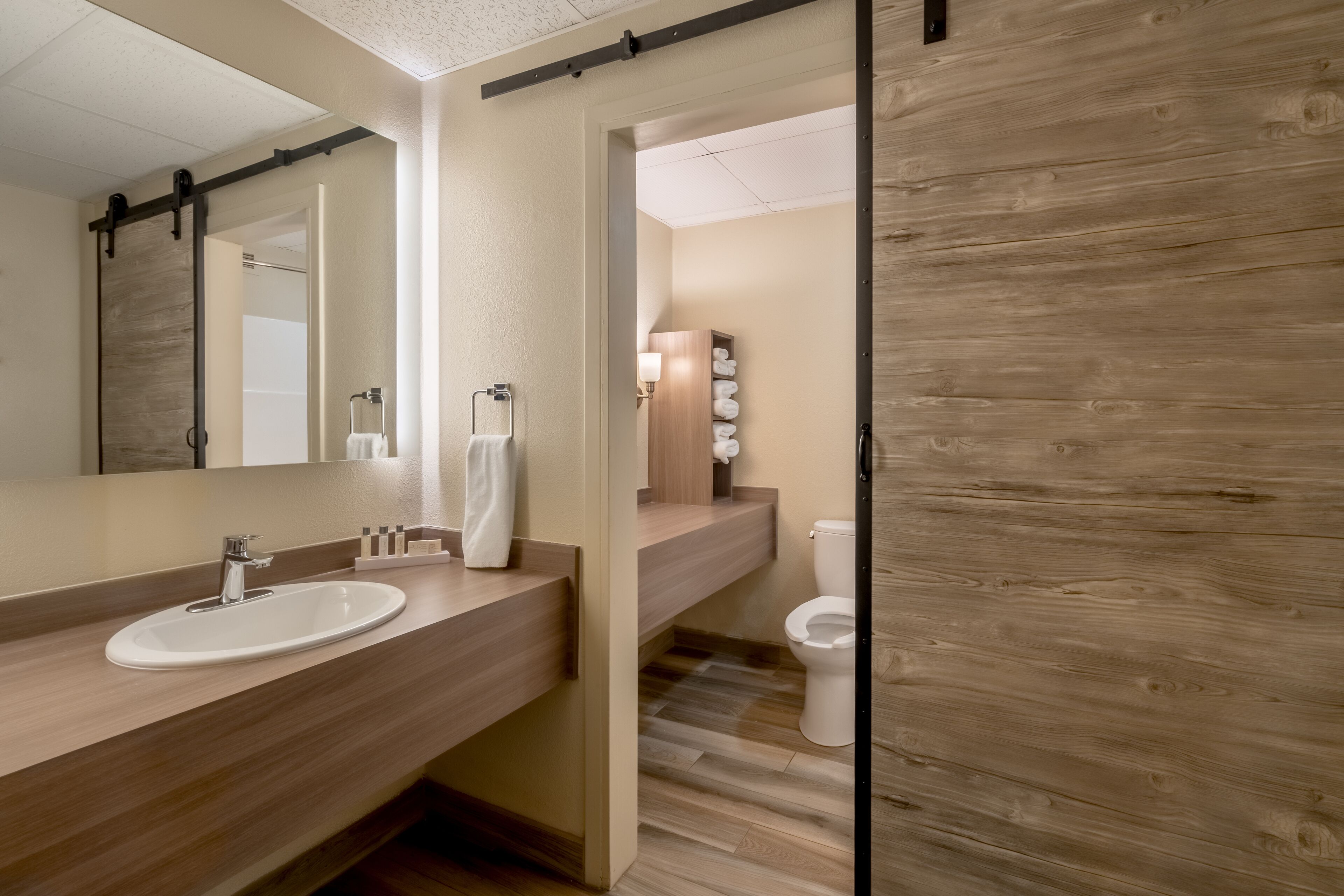 standard single room, 1 king bed | bathroom | combined shower/bathtub, free toiletries, hair dryer, towels