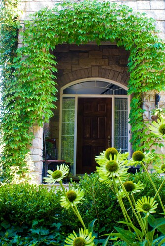 Sapience Retreat & Apothecary