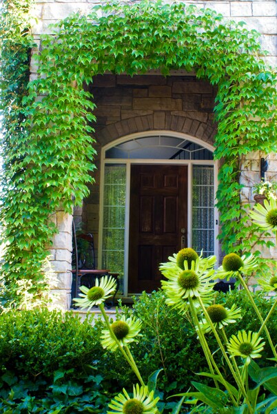 Sapience Retreat & Apothecary