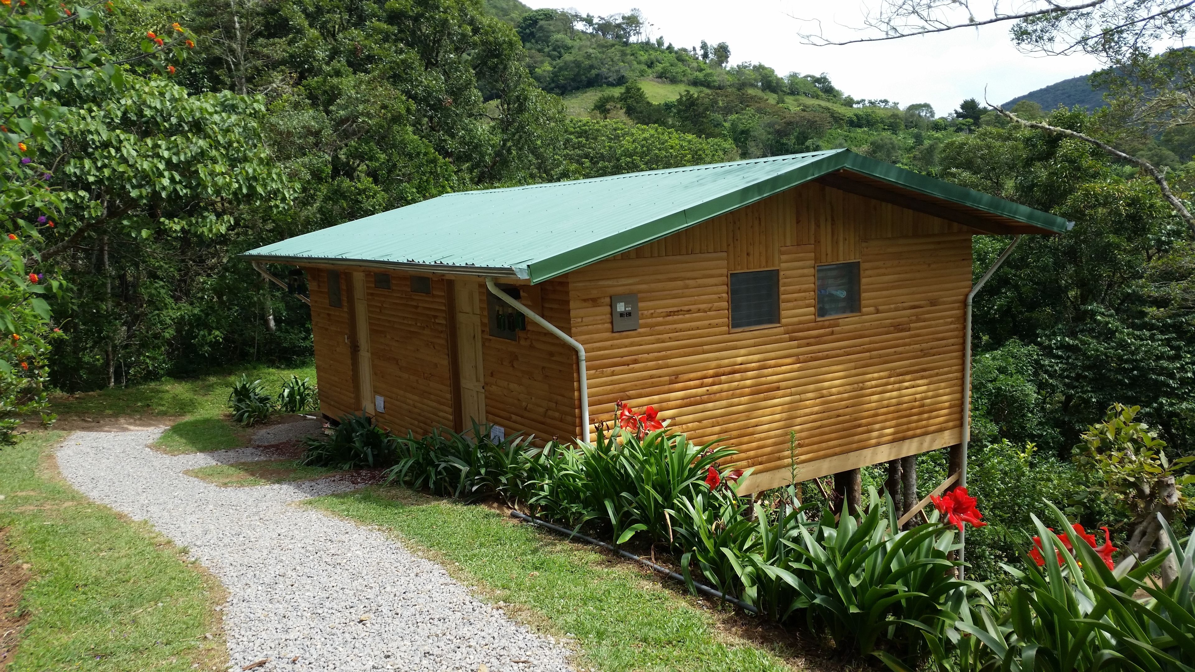 A wooden cabin with a green roof, surrounded by lush greenery and a gravel path.