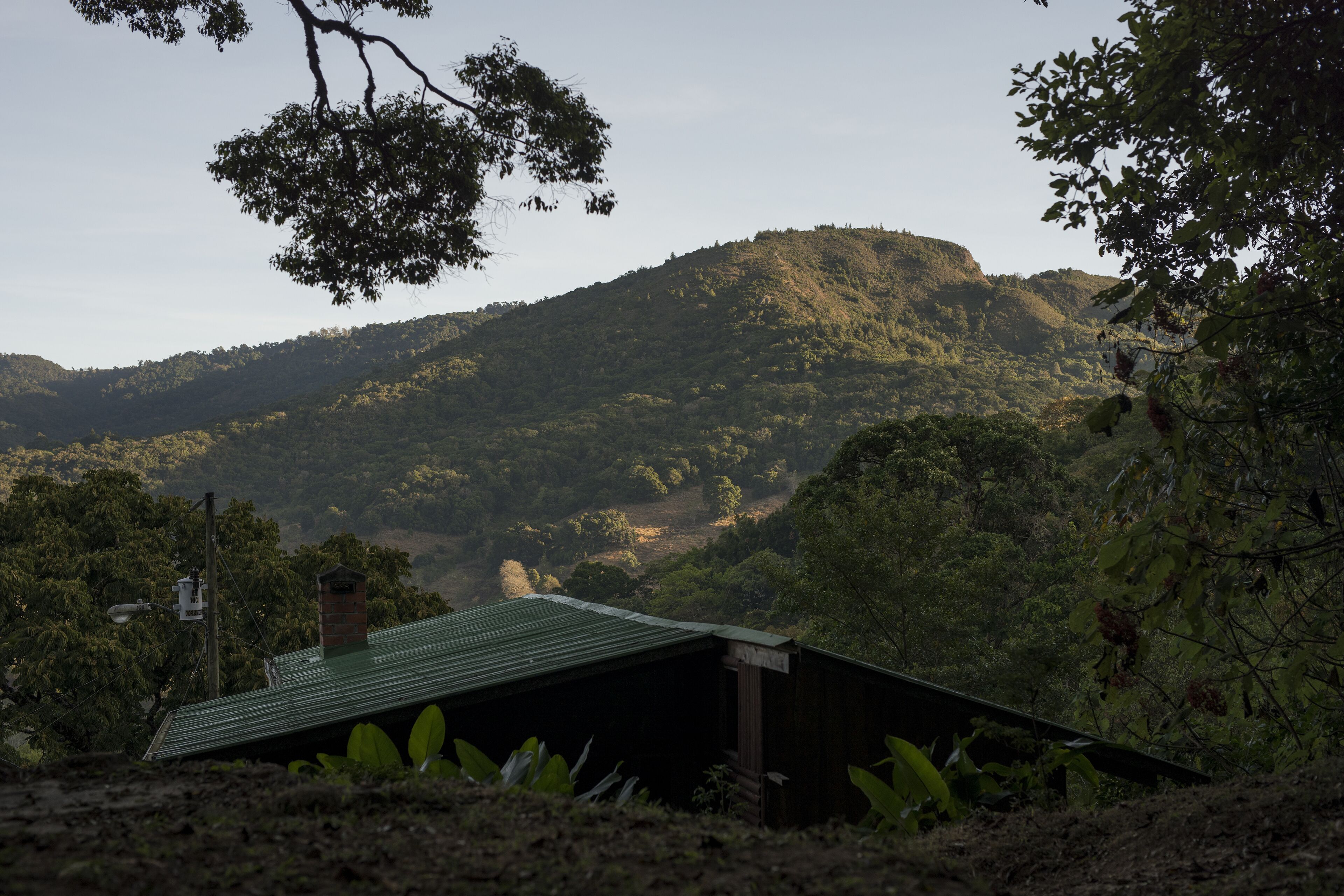 A rustic cabin with a green roof, surrounded by lush greenery and hills.