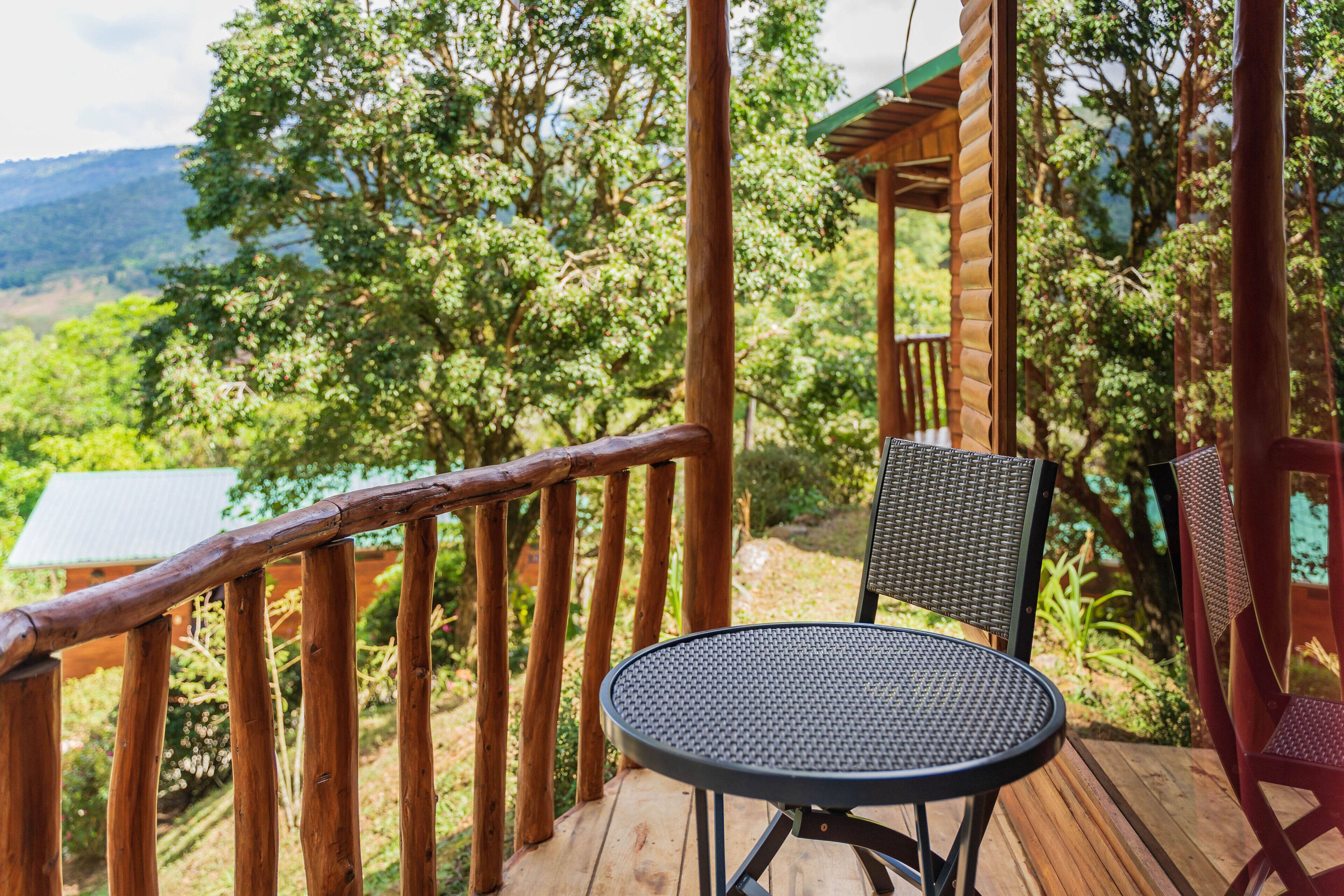 Habitació | Terrassa o pati