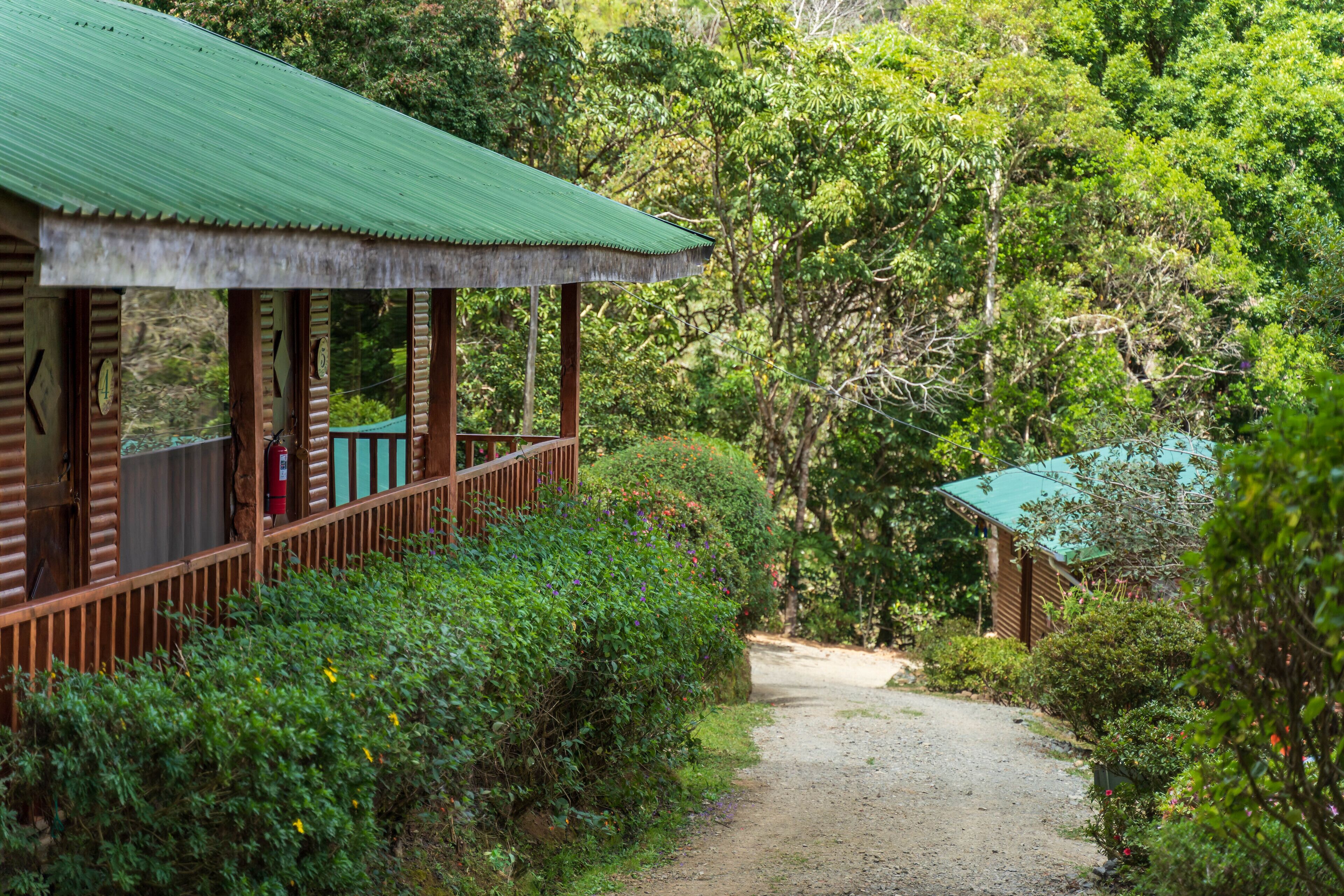 A wooden cabin with a green roof, surrounded by dense greenery and a gravel path leading to it.