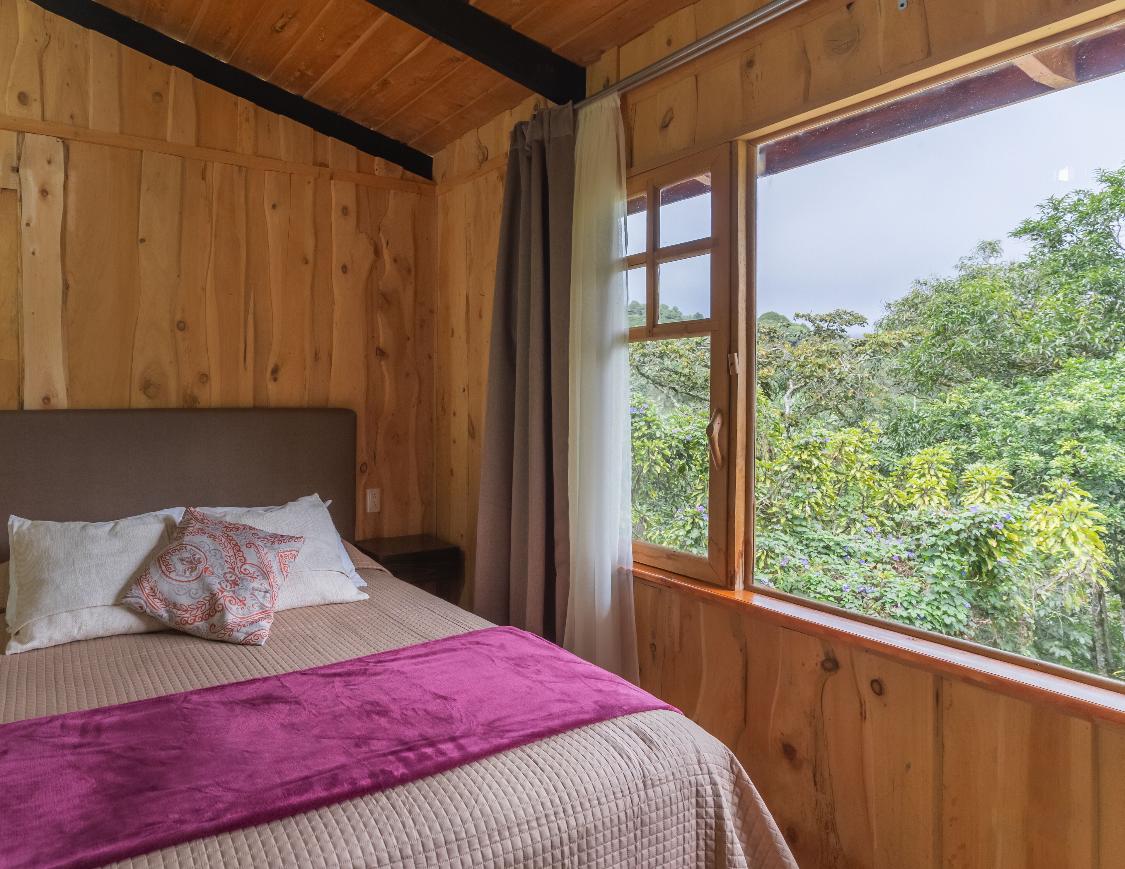 A wooden room with a bed, a nightstand, and a window with a view of greenery.