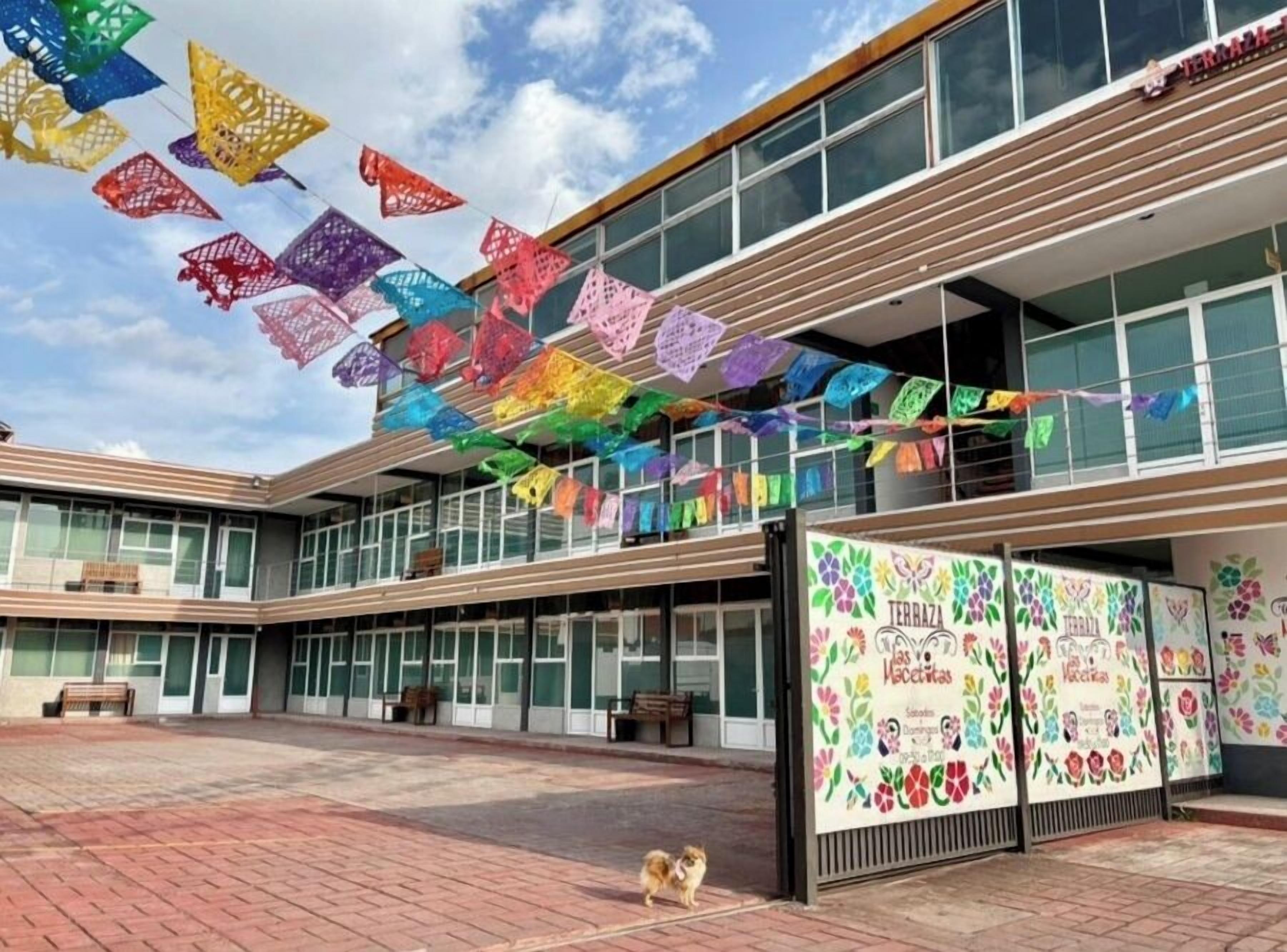 A building with a modern architectural style, featuring large windows and a flat roof. There are colorful paper decorations hanging from the roof, and a dog is visible on the ground.