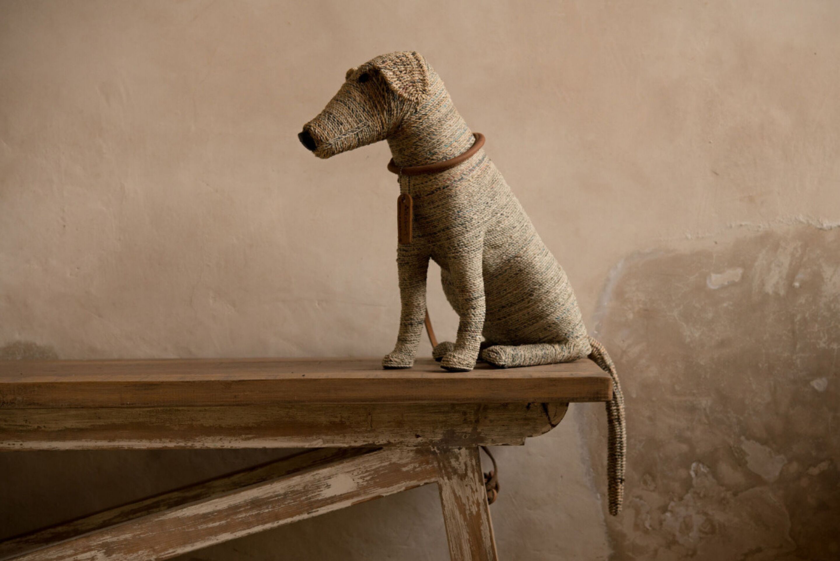 A dog sitting on a wooden bench against a plain wall.