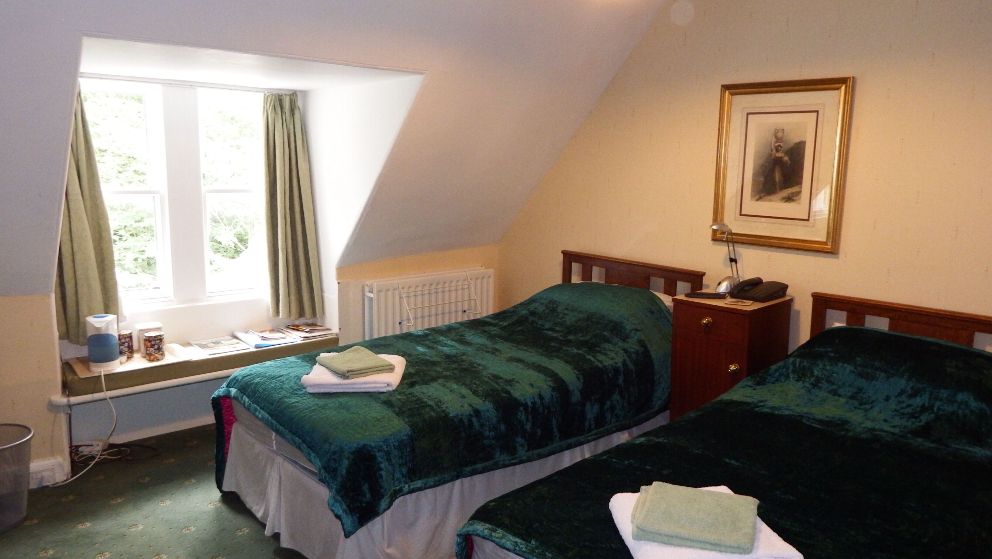 A bedroom with two beds, a window with curtains, a radiator, a bedside table with a lamp, and a framed picture on the wall.