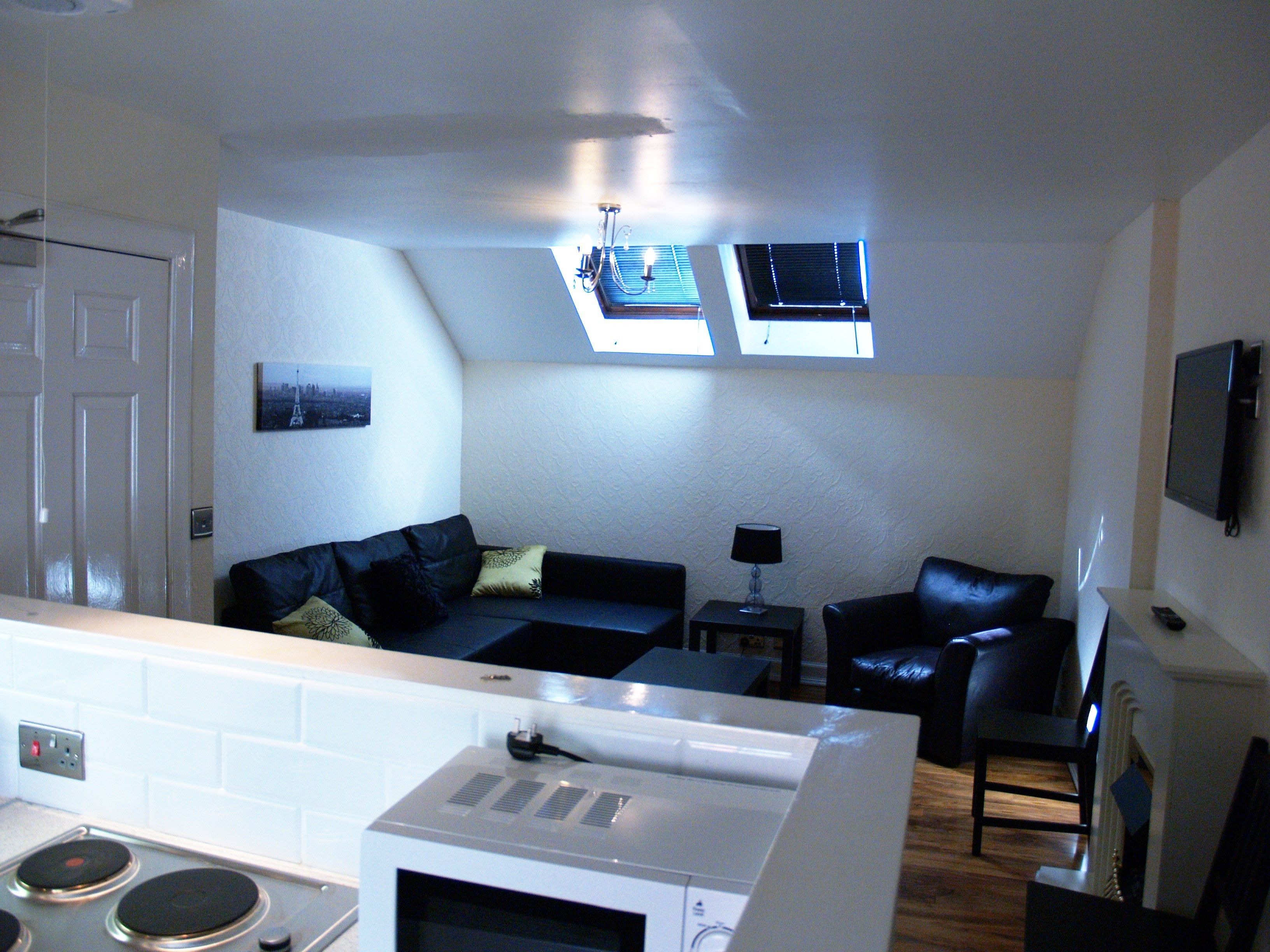 Standard Apartment, 1 Bedroom (double + sofa bed) | Private kitchen | Fridge, microwave, oven, toaster