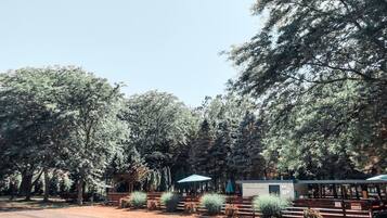 A campground with picnic tables, a small cabin, and a fenced area.