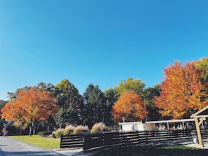 Front of property - Starlite Resort (Saugatuck)