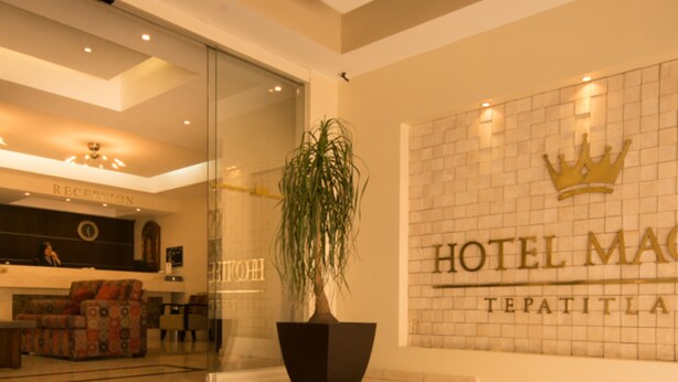 Zona de recepción de un hotel, con un mostrador, una planta en maceta grande y una escalera que sube al piso superior.
