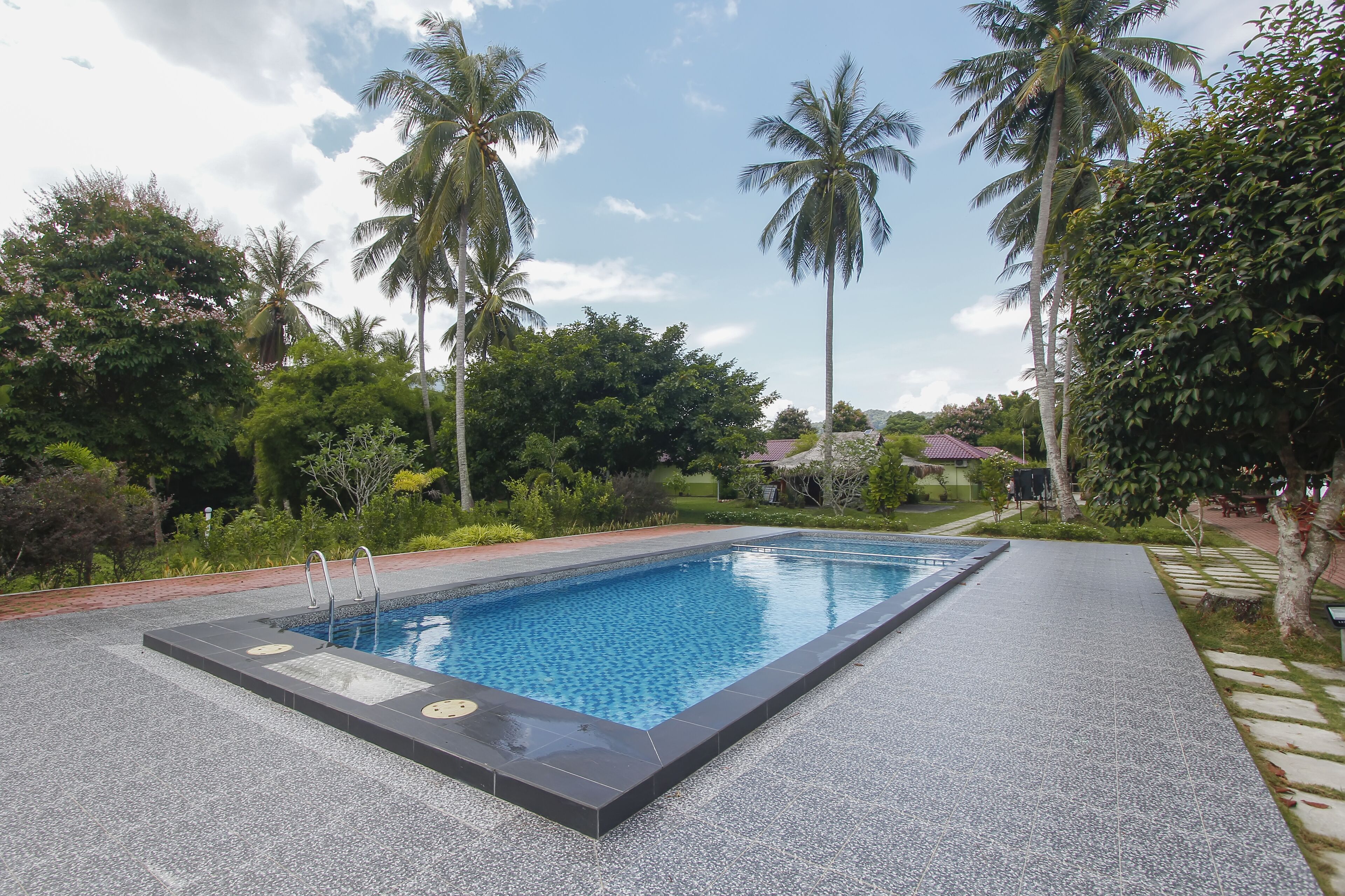 A rectangular swimming pool with a tiled edge, surrounded by lush greenery and palm trees.