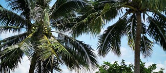 Tanjung Puteri Motel