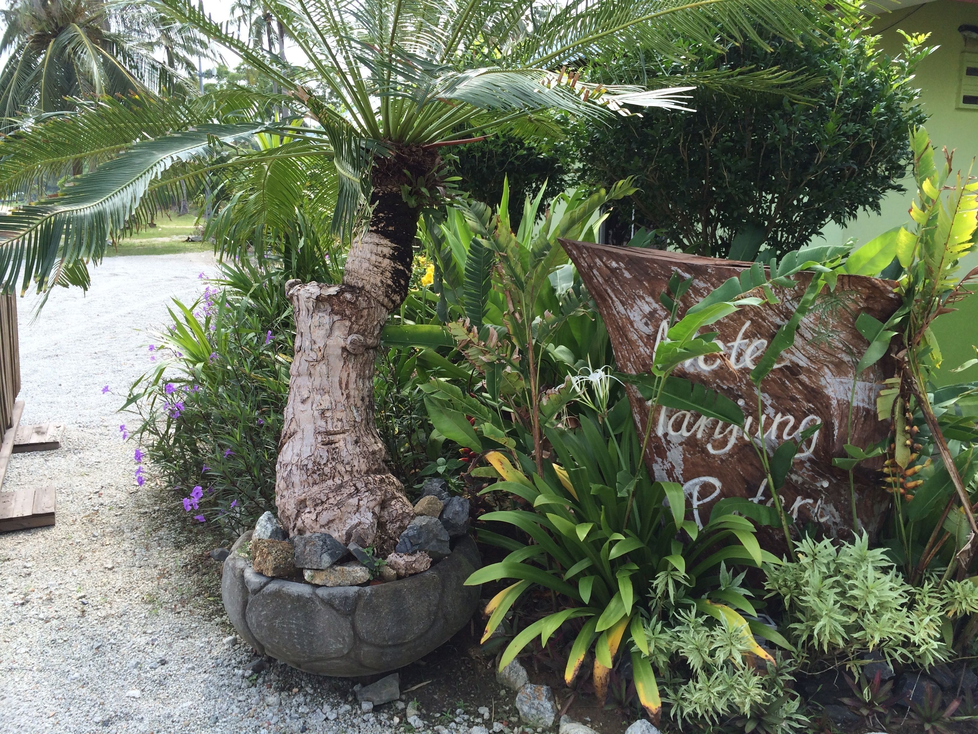 Un jardin avec un grand tronc d’arbre, une pancarte en bois et diverses plantes.