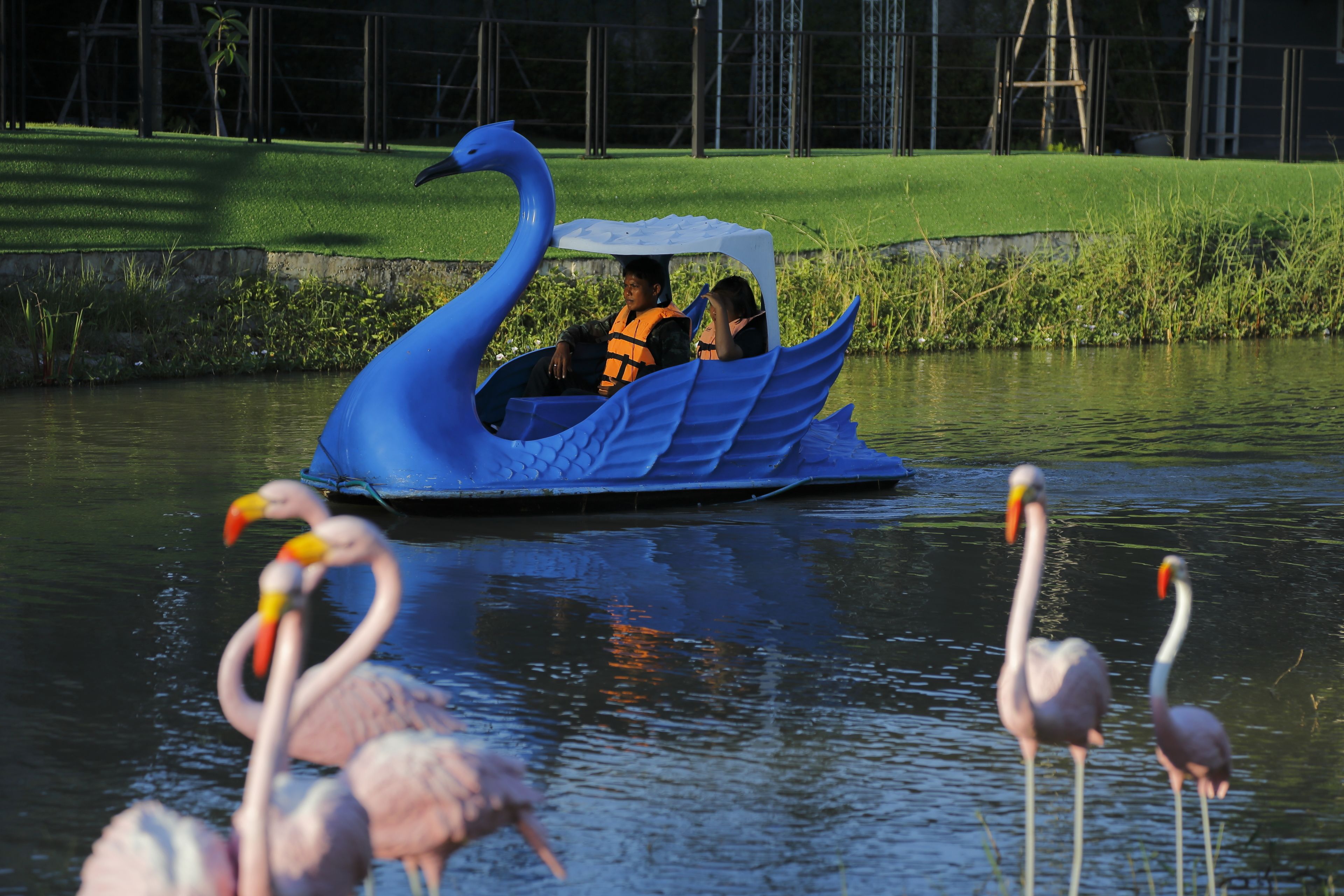 A swan-shaped boat with passengers, surrounded by flamingos in a body of water.
