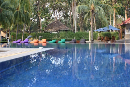 ์ผ์ธ ์์์ฅ