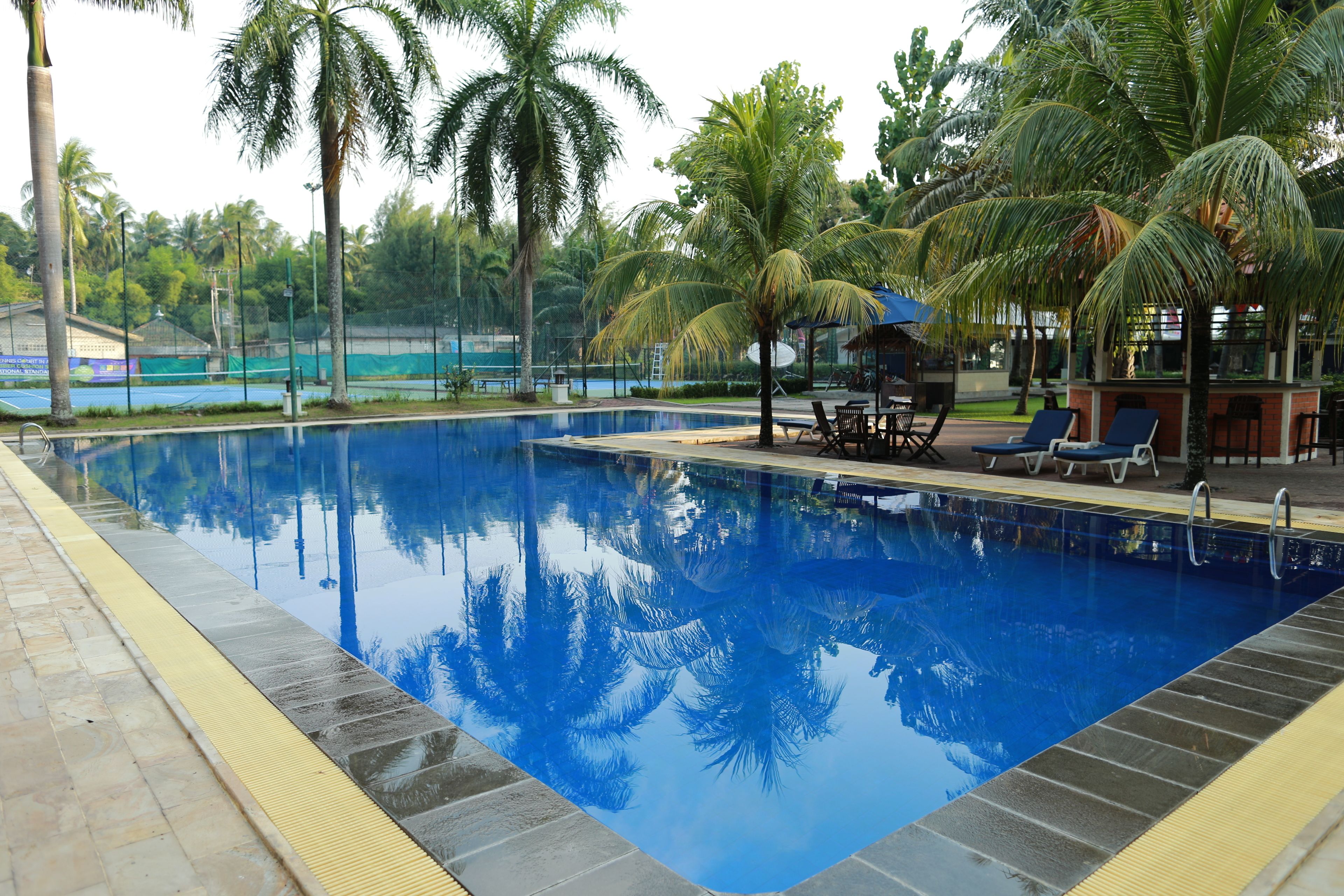 Uma piscina com água azul cristalina, cercada por palmeiras e espreguiçadeiras.