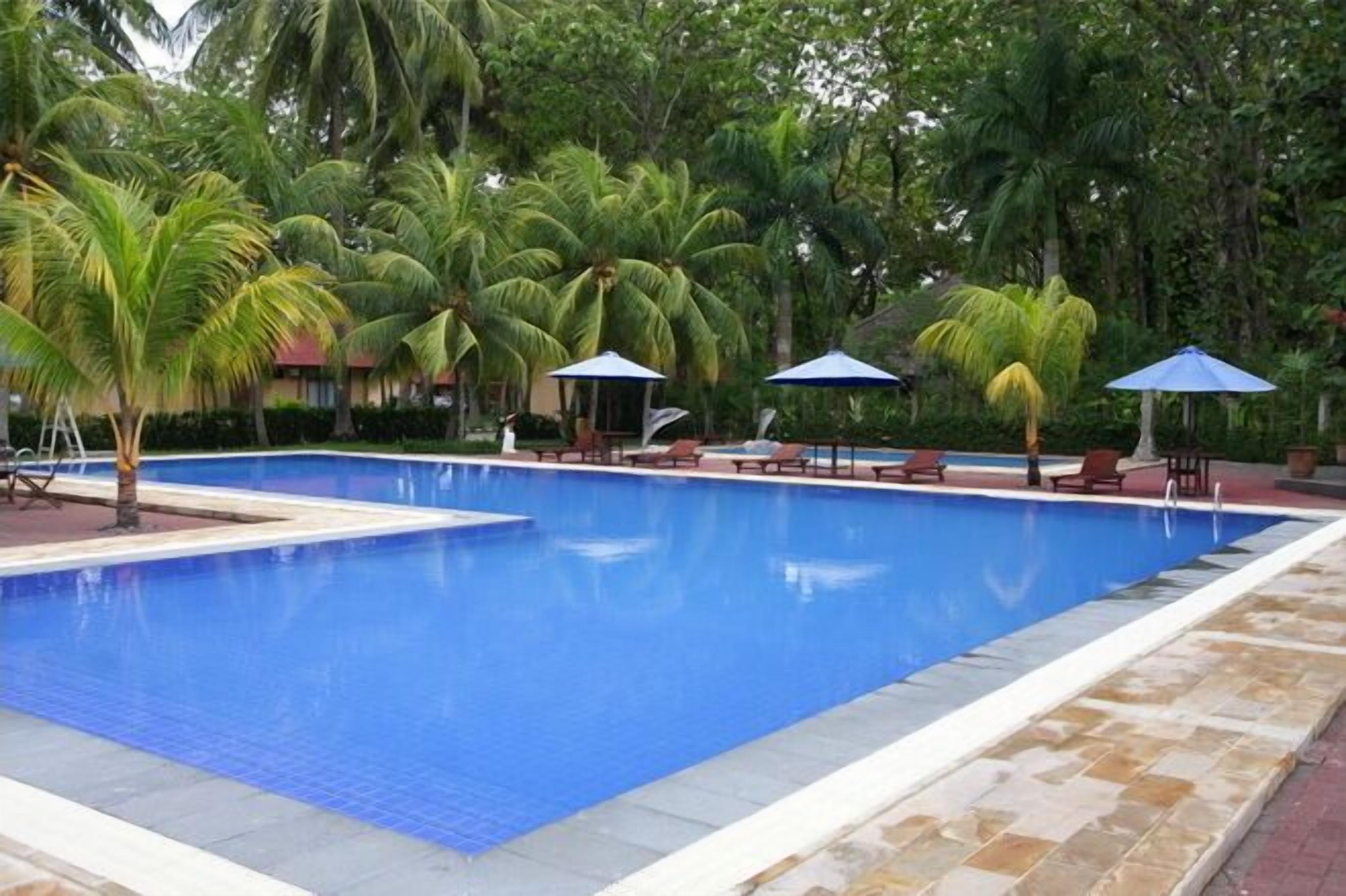 Una piscina rectangular con borde de azulejos, rodeada de palmeras y sillas de descanso.