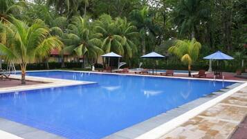 Una piscina rectangular con borde de azulejos, rodeada de palmeras y sillas de descanso.