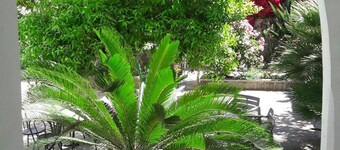 B&B Back to Sorrento