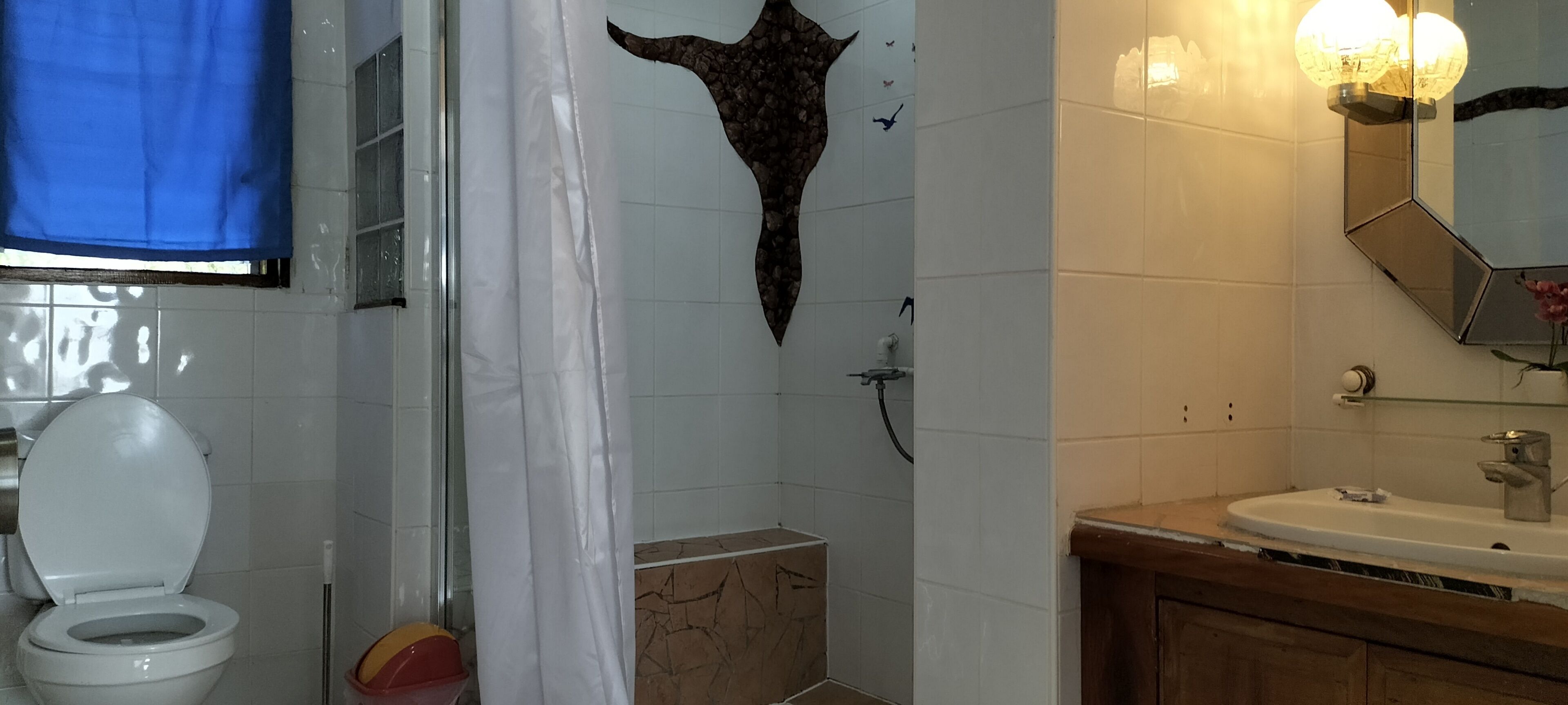 deluxe room | bathroom | shower, free toiletries, towels