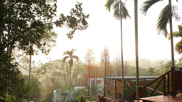 A wooden deck with a staircase leading to a building, surrounded by lush greenery and tall palm trees. - ChooArt Villa (Sanyi)