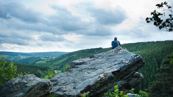 Una persona sentada sobre una roca grande contemplando un valle cubierto de bosque.