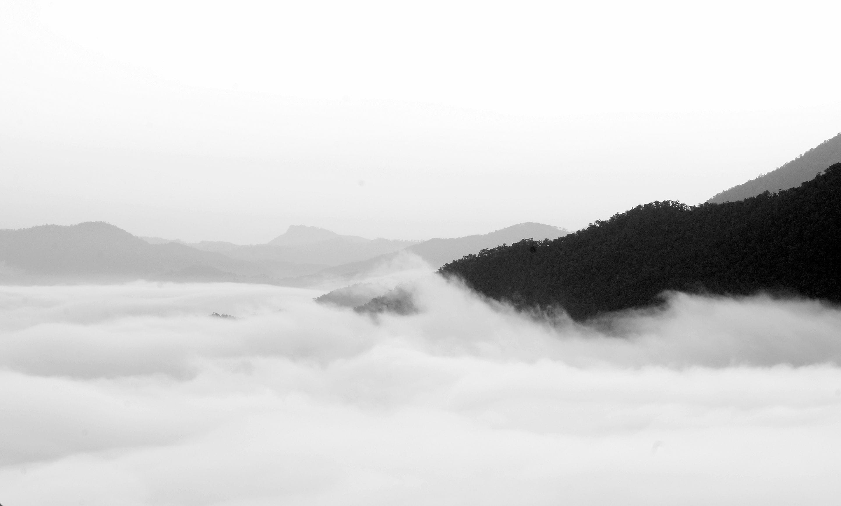 A mountainous landscape with dense forests and a layer of fog or clouds covering the lower elevations.