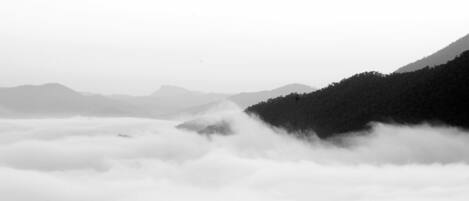 A mountainous landscape with dense forests and a layer of fog or clouds covering the lower elevations.