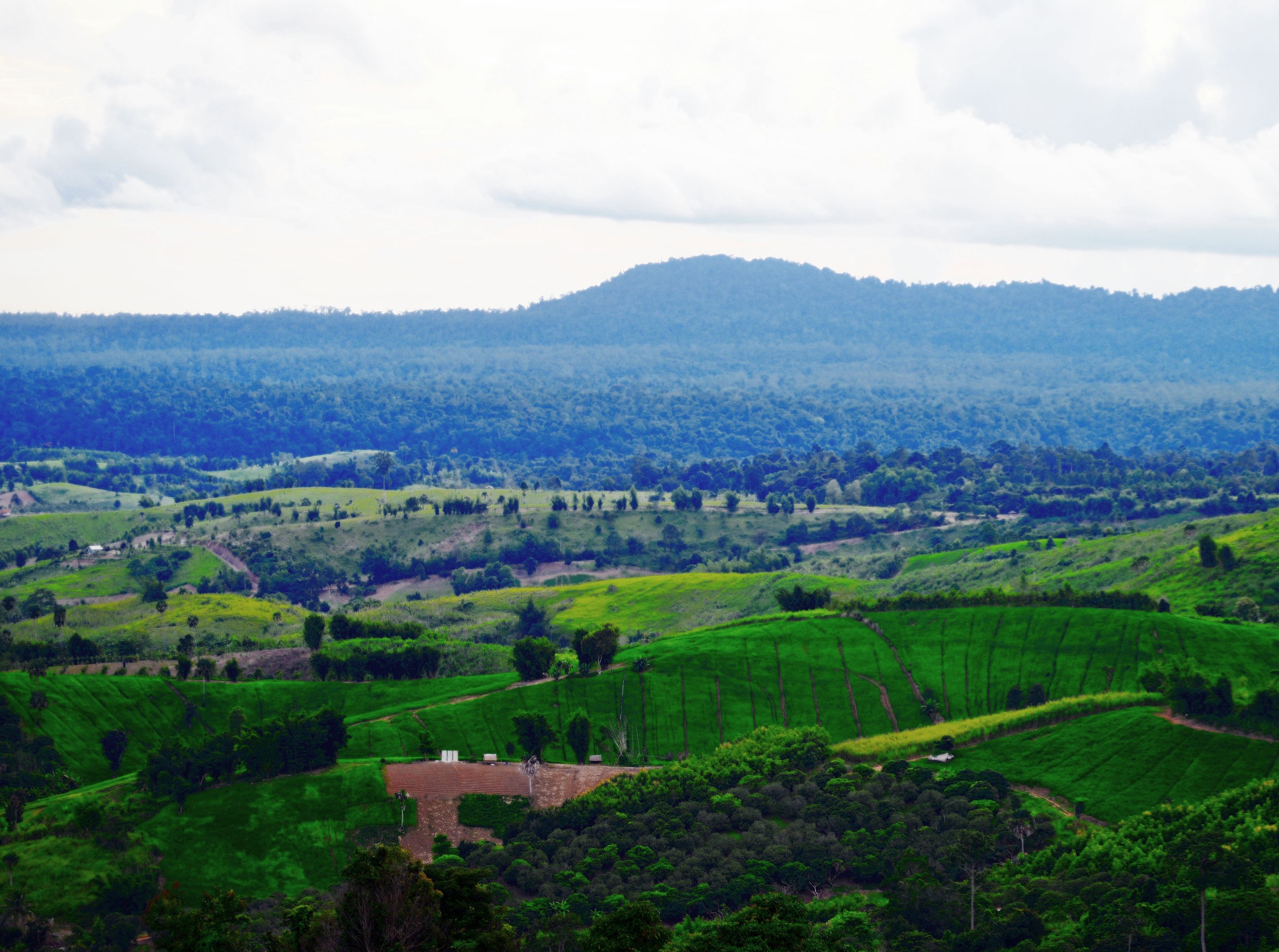 Un paysage rural avec des champs en terrasses, une colline en arrière-plan et un petit bâtiment au premier plan.