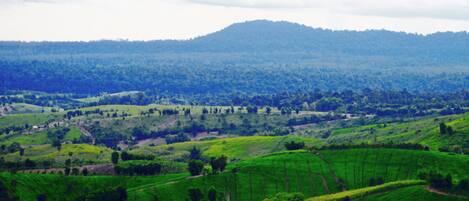 A rural landscape with terraced fields, a hill in the background, and a small building in the foreground.
