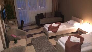 Minibar, desk, iron/ironing board, free wired Internet