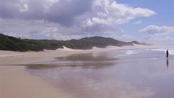 Playa en los alrededores y sombrillas