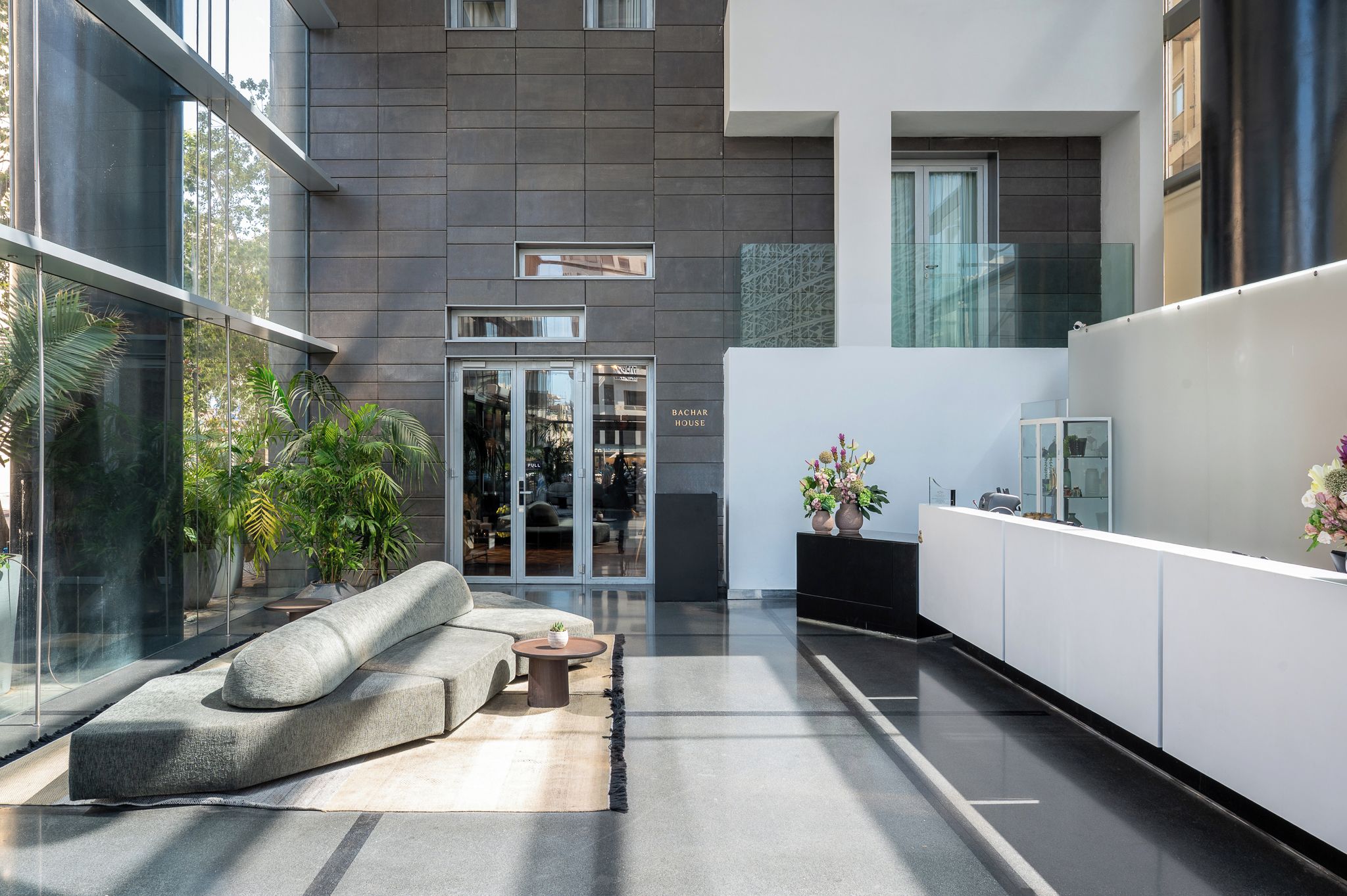 A modern interior with a sofa, a small table, and potted plants.