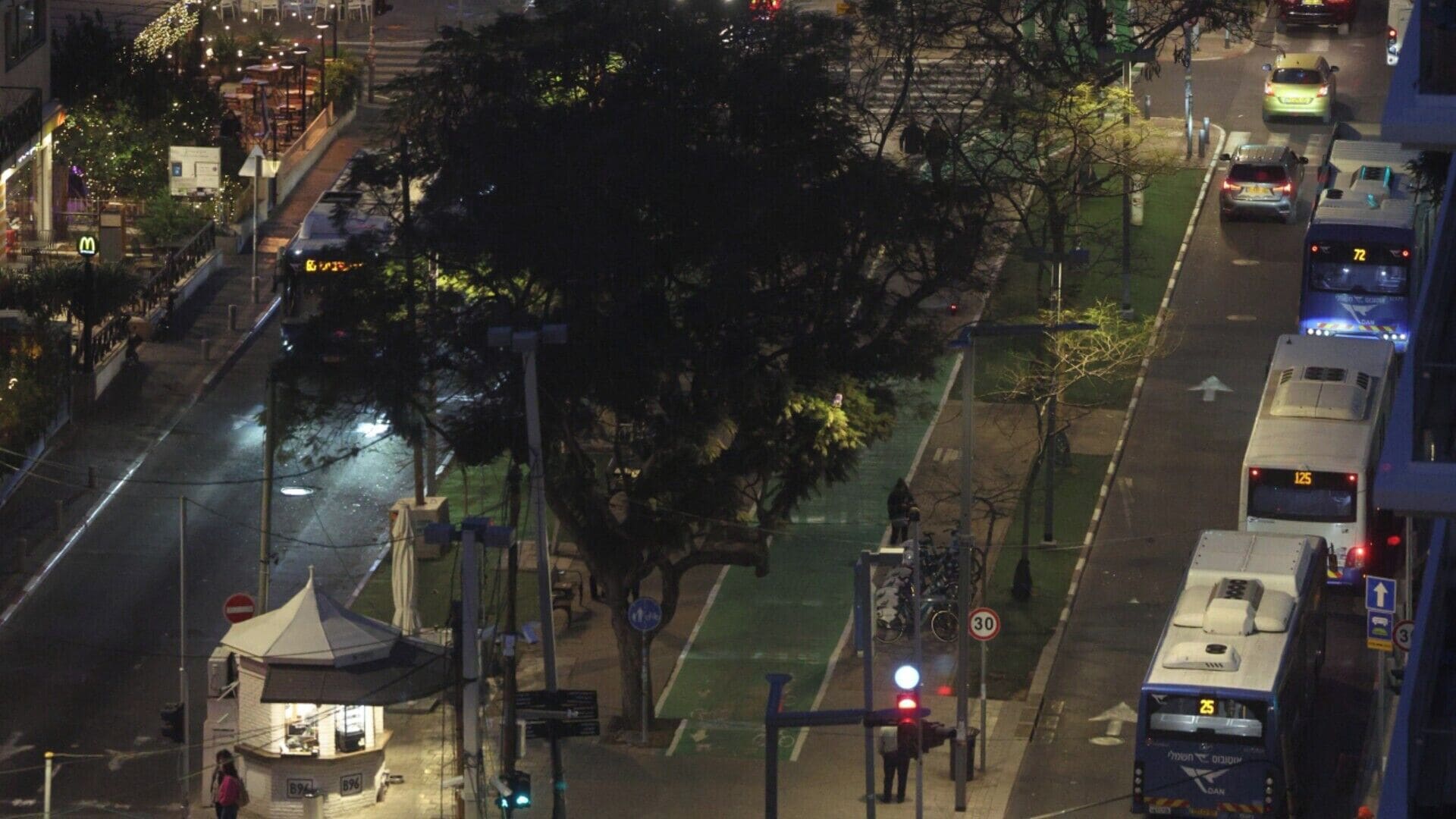 A street view at night with a bus stop, a pedestrian crossing, and a tree in the foreground.